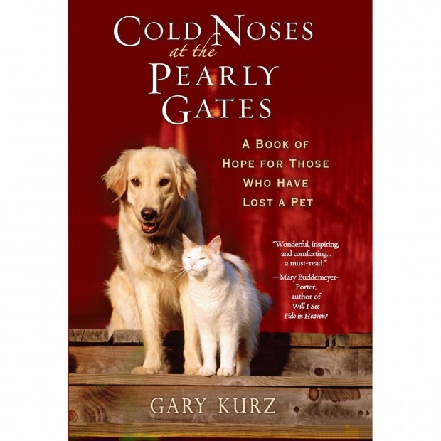 Cold Noses